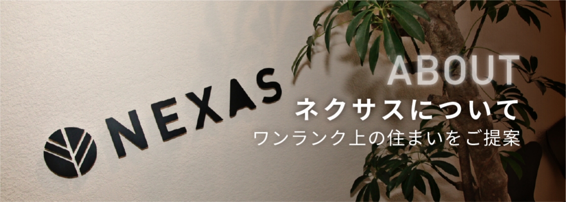 ネクサスについて
